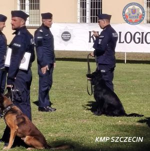 policjant z psem policyjnym.
