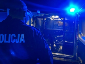 Pora nocna - Policjant stoi przodem do radiowozu w którym za kratkami siedzą mężczyźni.