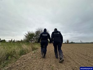 Poszukiwania 83-letniej grzybiarki.