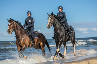 Zbliżenie na dwoje policjantów na koniach patrolujących plażę.