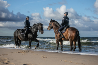 Dwoje policntów na koniach na plaży, konie zwrócone ku sobie.