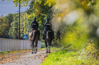 Jesień, policjanci na koniach patrolują parkową alejkę.