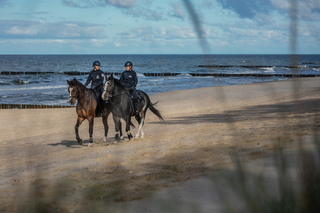 Policjanci patrolujący na koniach plażę widoczni zza wysokich traw.