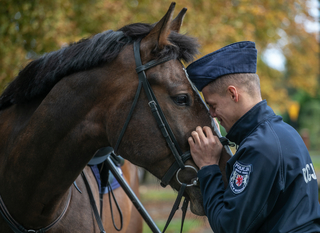 Policjant dotyka czołem łba swojego konia.