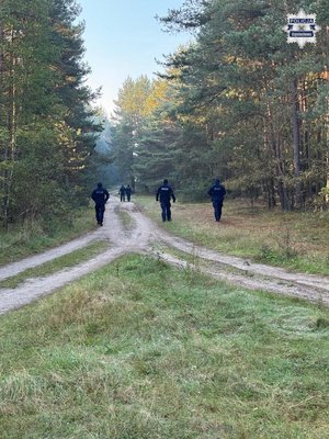 Policjanci idą duktem leśnym.
