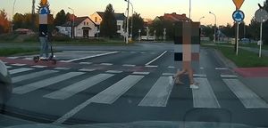 Na zdjęciu przejście dla pieszych. Na lewym pasek widać jadącego na hulajnodze mężczyznę, na prawym pasie idą dwie osoby.