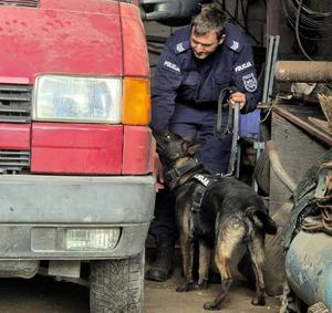 Policjant z psem podczas szkolenia.