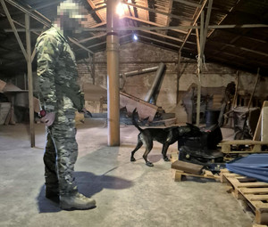 Policjant z psem podczas szkolenia.