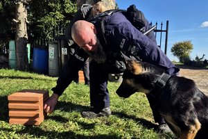 Policjant z psem podczas szkolenia.