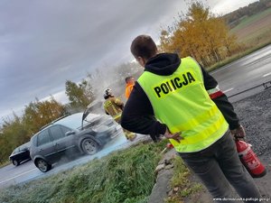 policjanci.