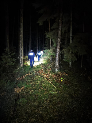Policjanci podczas nocnych poszukiwań w lesie zaginionego grzybiarza.