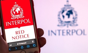 Trzymany w dłoni telefon, na którym wyświetla się logo Interpolu i napis Red Notice.