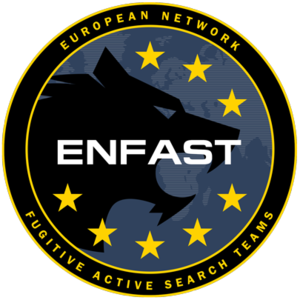 Logo ENFAST.