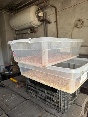 Pojemniki z nielegalną substancją.