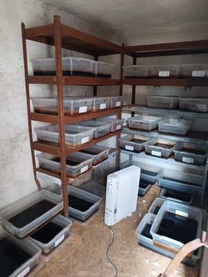 Pojemniki z nielegalną substancją.