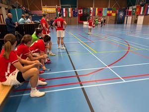 Halowe Mistrzostwa Świata Służb Mundurowych w piłce nożnej.