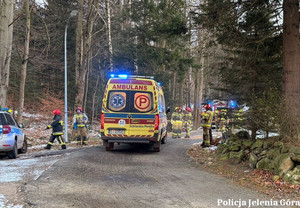 Karateka i radiowóz na poboczu.
