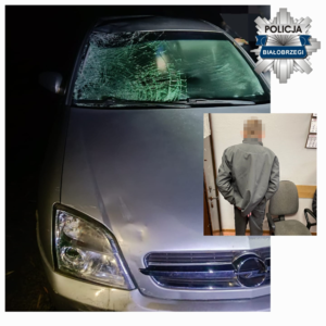 Kolarz zdjęć. Uszkodzony samochód i zatrzymany w kajdankach.