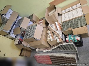 Zabezpieczone papierosy w pudełkach i kartonach.