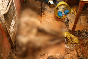 Wnętrze pustostanu. Zablurowane zwłoki psa leżące na podłodze.