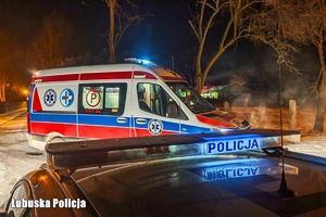 karetka pogotowia i radiowóz stoją w lesie.