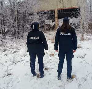 Umundurowani policjanci w terenie.