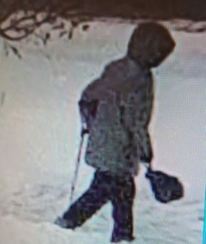 Zdjęcie idącej kobiety z monitoringu.