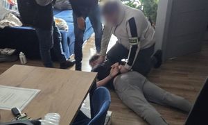 zatrzymanie dilera narkotyków, policja przechwyciła plantację konopi