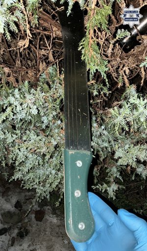 Policjant w rękawiczkach  trzyma maczetę.