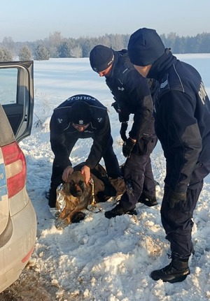 Policjanci przy przymarzniętym do pobocza psie.