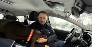 Policjant z psem w radiowozie.