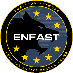 Logo ENFAST.
