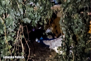 Między roślinnością zwisającą z balkonu mieszkania miejsce, gdzie leżał mężczyzna.