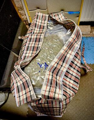 Zabezpieczona marihuana.