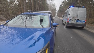 Samochód z roztrzaskaną szybą.