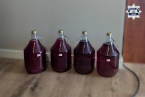 Butelki z czerwoną cieczą.