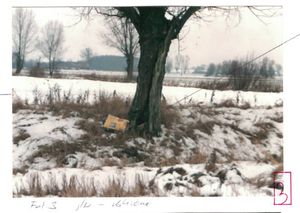 Miejsce usytuowania zwłok noworodka.