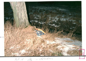 Miejsce usytuowania zwłok noworodka.