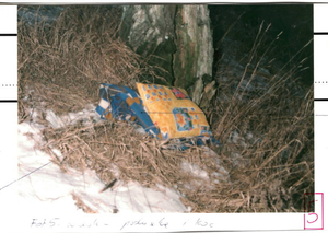 Poduszka i koc pod drzewem.