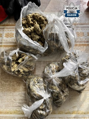 Zabezpieczone narkotyki.