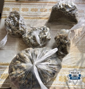 Zabezpieczone narkotyki.