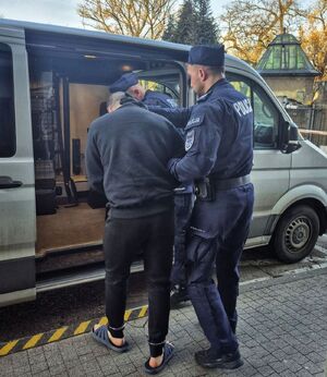 Policjanci wprowadzają zatrzymanego do radiowozu.