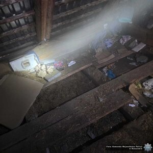 Zabezpieczone środki i przedmioty lezące na strychu..