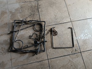 Zabezpieczone wnyki.