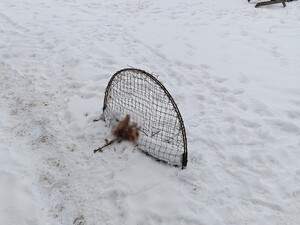 Zabezpieczone wnyki w śniegu.