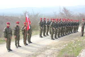 Grupa żołnierzy w dwuszeregu.