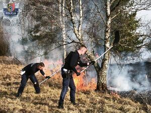 Policjanci gaszą płonące trawy.