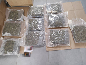 narkotyki porozkładane w samochodzie. Mężczyzna w kajdankach siedzi przy samochodzie. pieniądze rozłożone na stole.