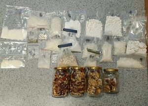 rozłożone narkotyki w torebkach. W szklanych słoikach widać grzyby suszone.