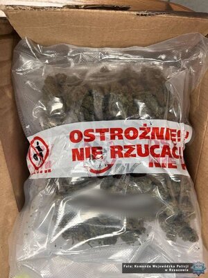 narkotyki, susz konopi indyjskich. Narkotyki zapakowane w worki. Leżą w pudełkach. Tort i galaretki.